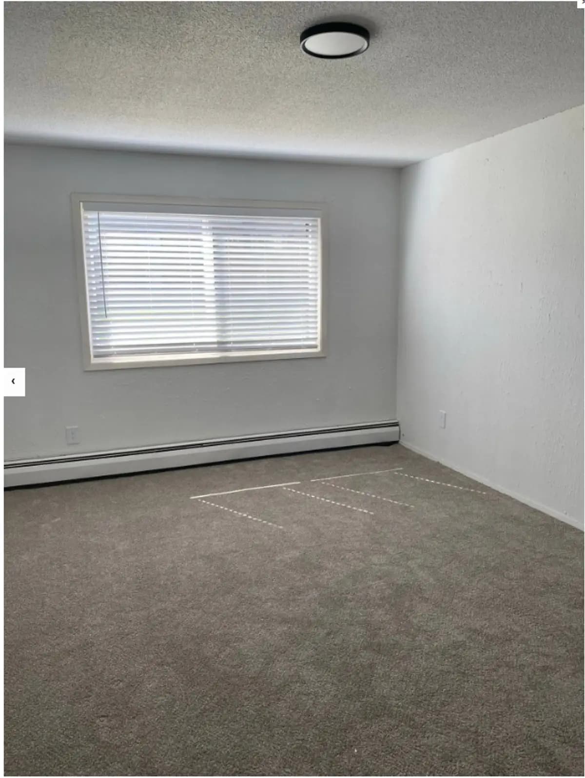 undefined apartments for rent - image - 12.PNG