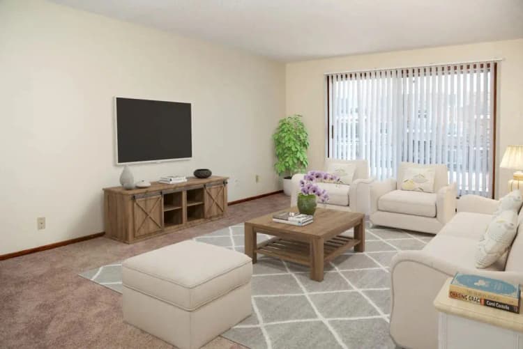 Brooklyn Park apartments for rent - image - imgi_229_point of america_brooklyn park_mn_remodeled1br_living room2.jpg
