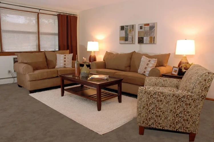 Brooklyn Park apartments for rent - image - imgi_234_pointofamerica_brooklynpark_mn_ classicunit_livingroom2.jpg
