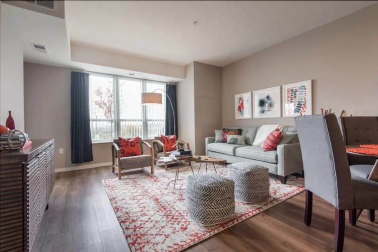 undefined apartments for rent - image - LivingRoom-1030x687.jpg