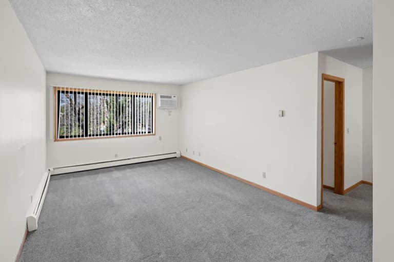 undefined apartments for rent - image - pebble-creek-north-apartments-brooklyn-park-mn-living-room.jpg